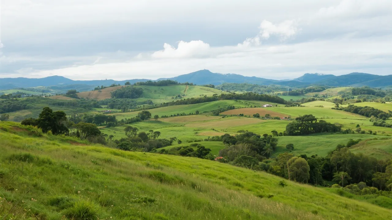 The Charm of Ibl Itinga Unveiled